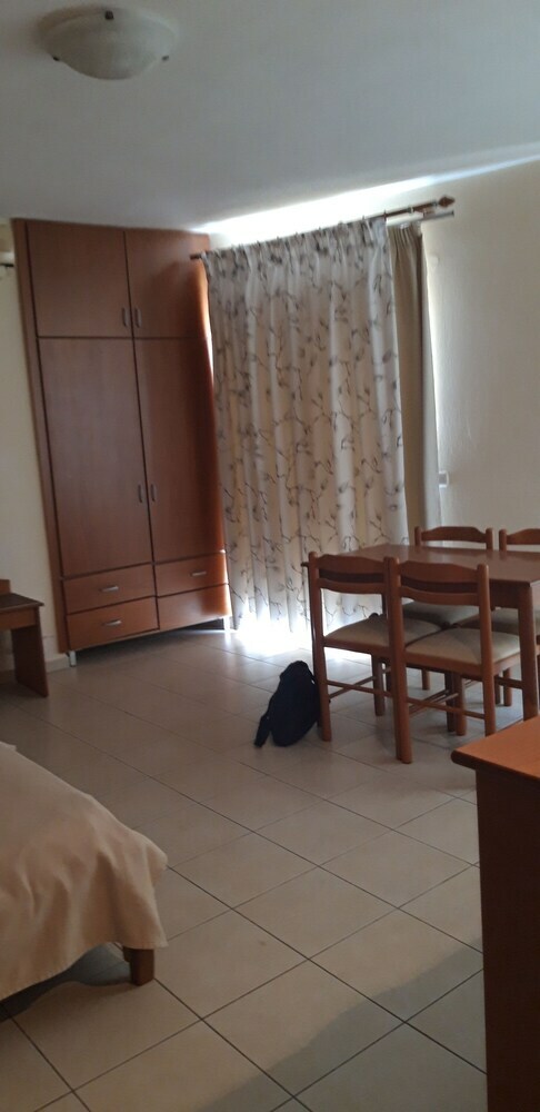 Hotel Dabasis-drolias