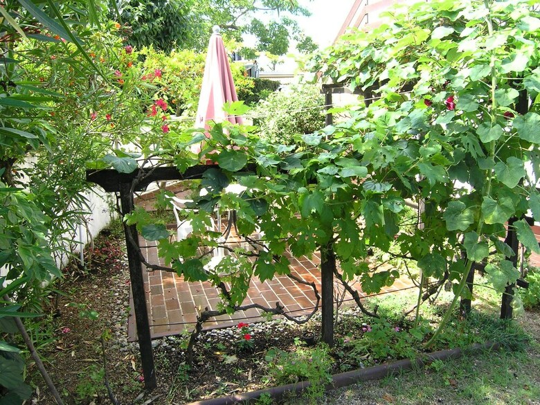 Apartments Ivanek