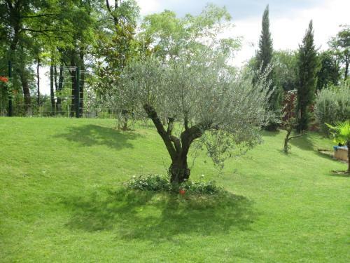Bed & Breakfast Le Mas Du Fort