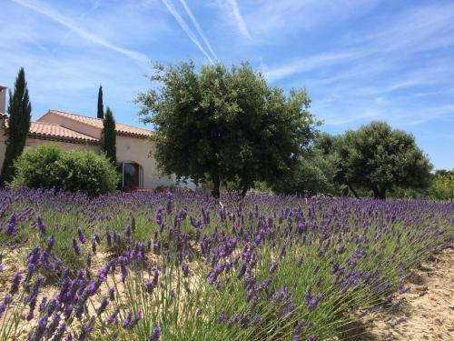 Provence Aix Coteaux
