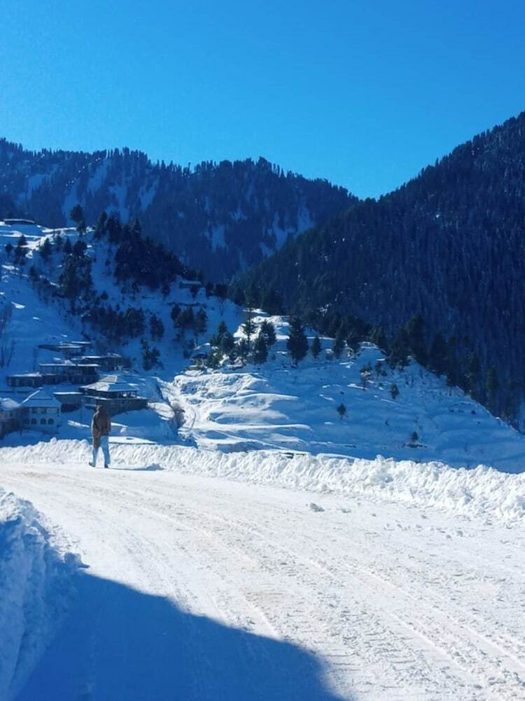 Hotel Green Palace Guest House Malam Jabba