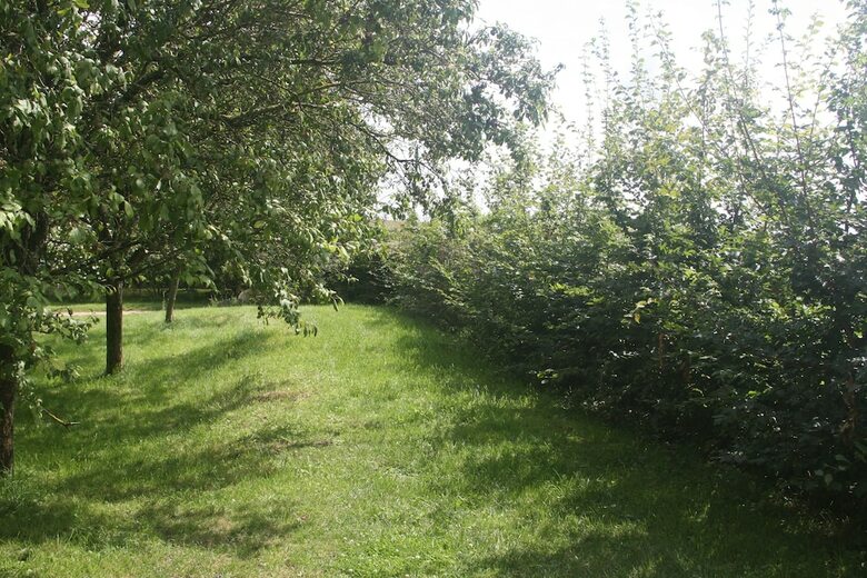 Gite La Petite Ferme