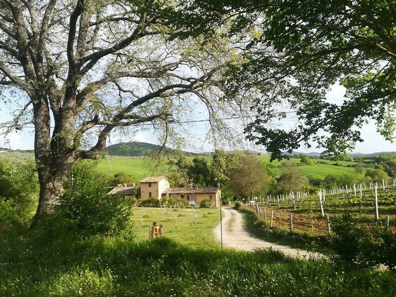 Apartamento La Fornace Vacanze