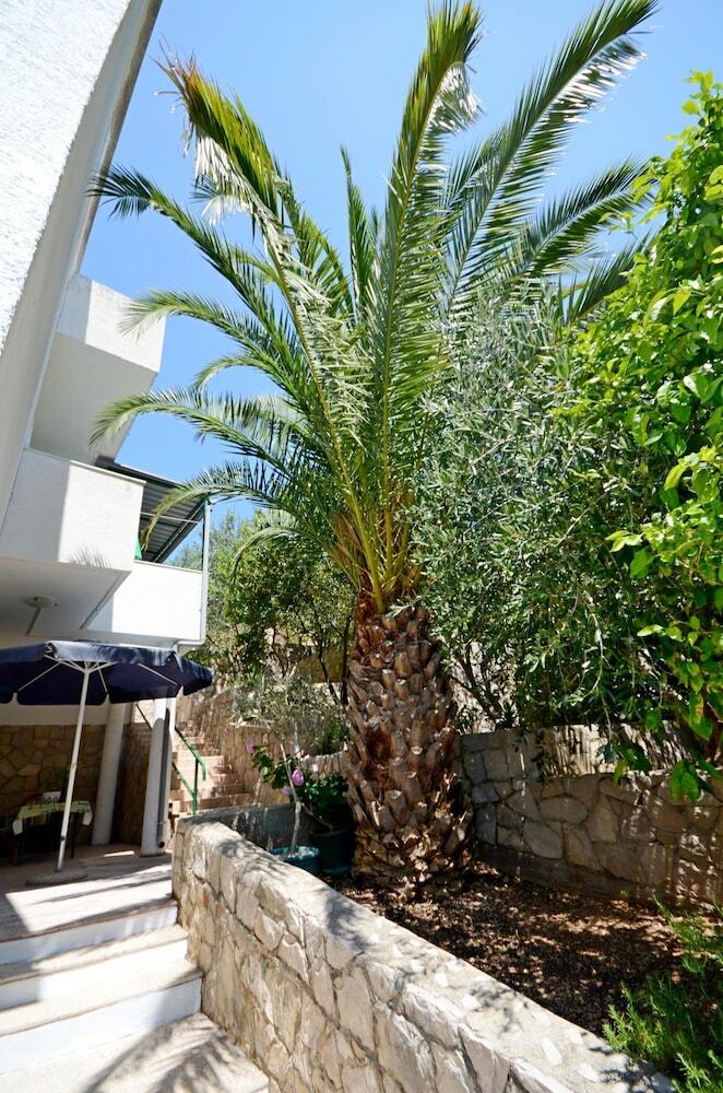 Apartments Aba