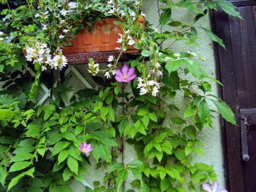 Bed & Breakfast Roulottes Du Rouard