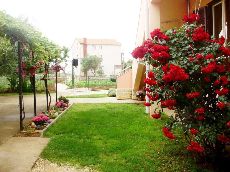 Apartments Sanja