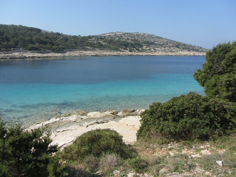House Lily