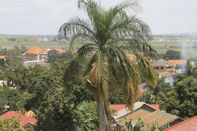 Hotel Karibu Bb Suites