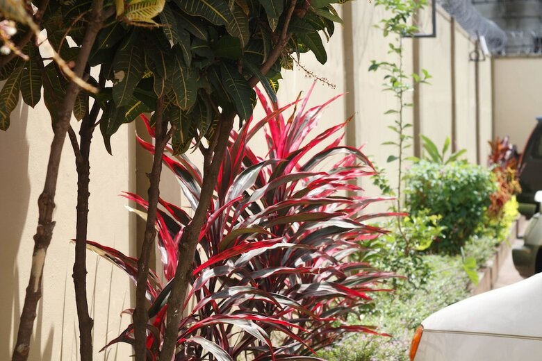 Hotel Karibu Bb Suites