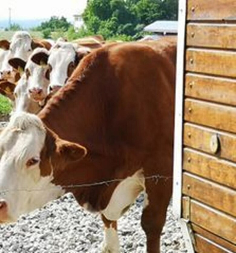 Agroturismo Ferienparadies Reifnhof