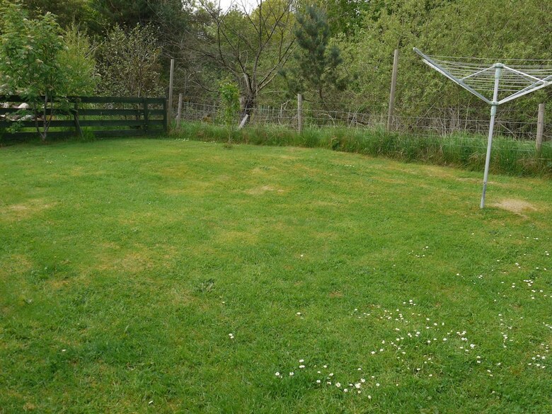 Roe Deer Cottage