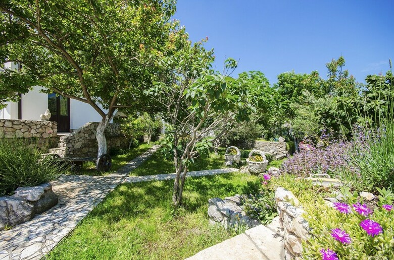 Apartments Mladen