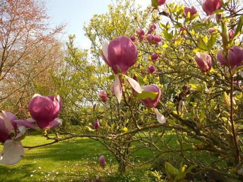 Bed & Breakfast Prieur� Saint-michel