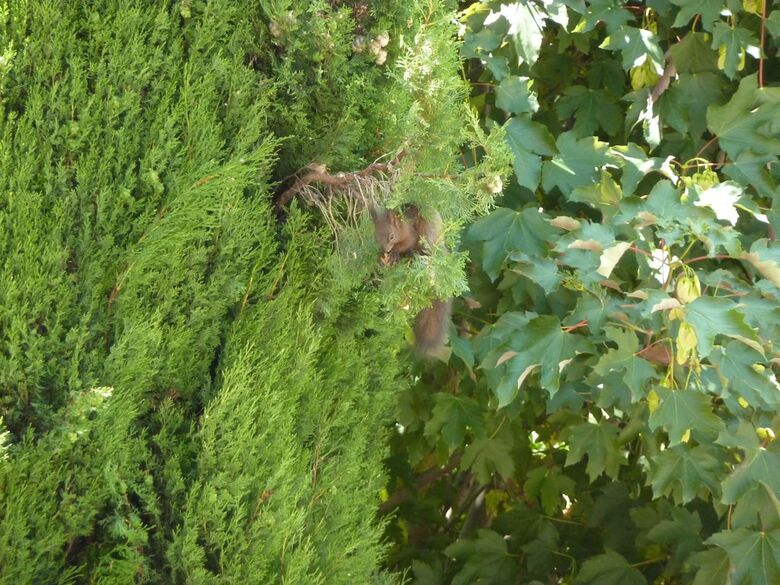 Apartamento Appartamenti Il Giardino Alberato