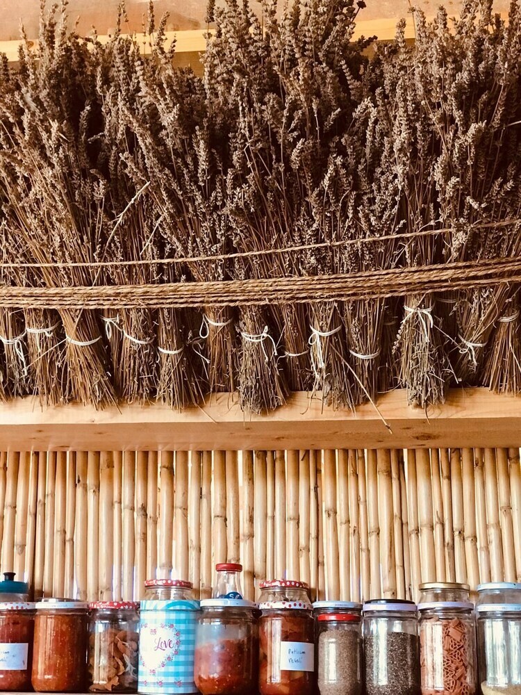 Hotel Vadi Alacati
