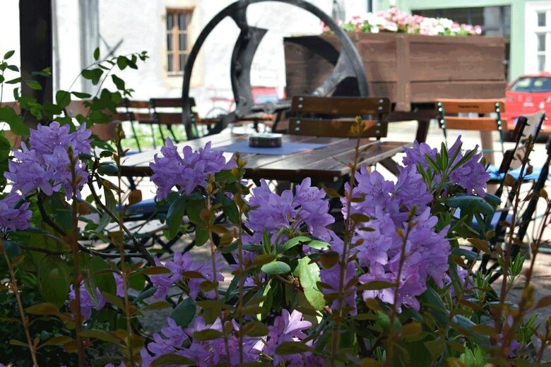 Pension Gasthof Am Storchenturm