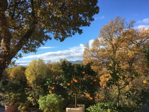Bed & Breakfast Le Relais Des Malettes