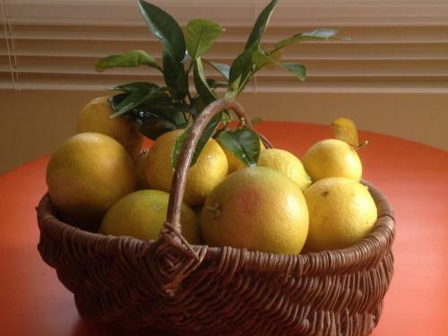 Bed & Breakfast Le Relais Des Malettes