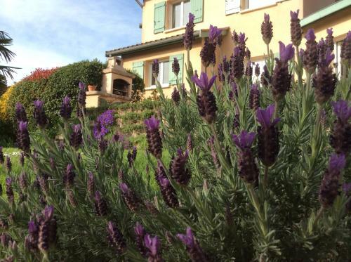 Bed & Breakfast Le Relais Des Malettes