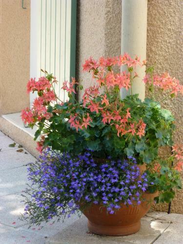 Bed & Breakfast Le Relais Des Malettes