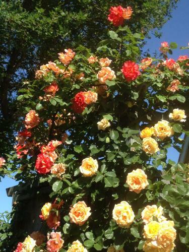 Bed & Breakfast Le Relais Des Malettes