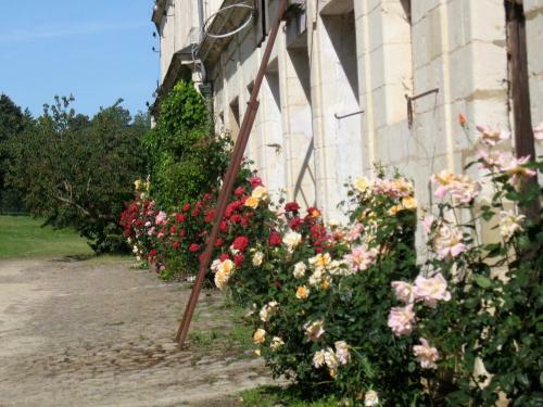 Bed & Breakfast La Mesnagerie