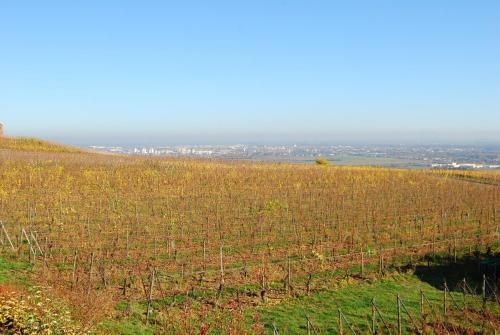 Bed & Breakfast Chambres D'h�tes Schneider