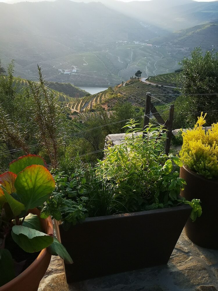 Quinta Das Fontainhas - Douro Valley