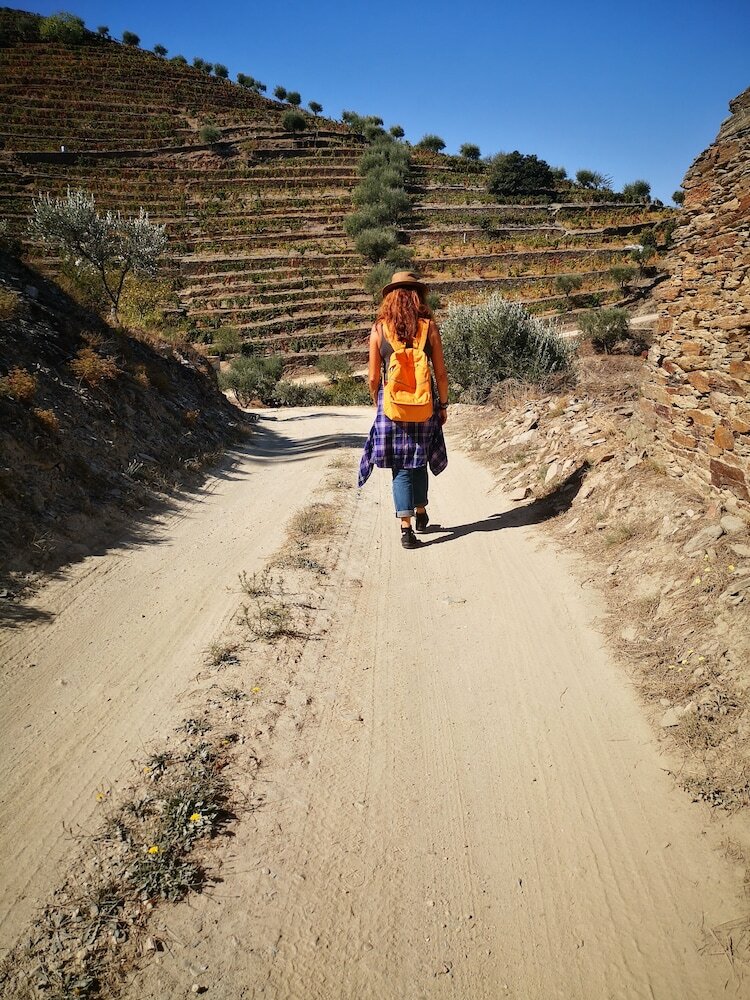 Quinta Das Fontainhas - Douro Valley