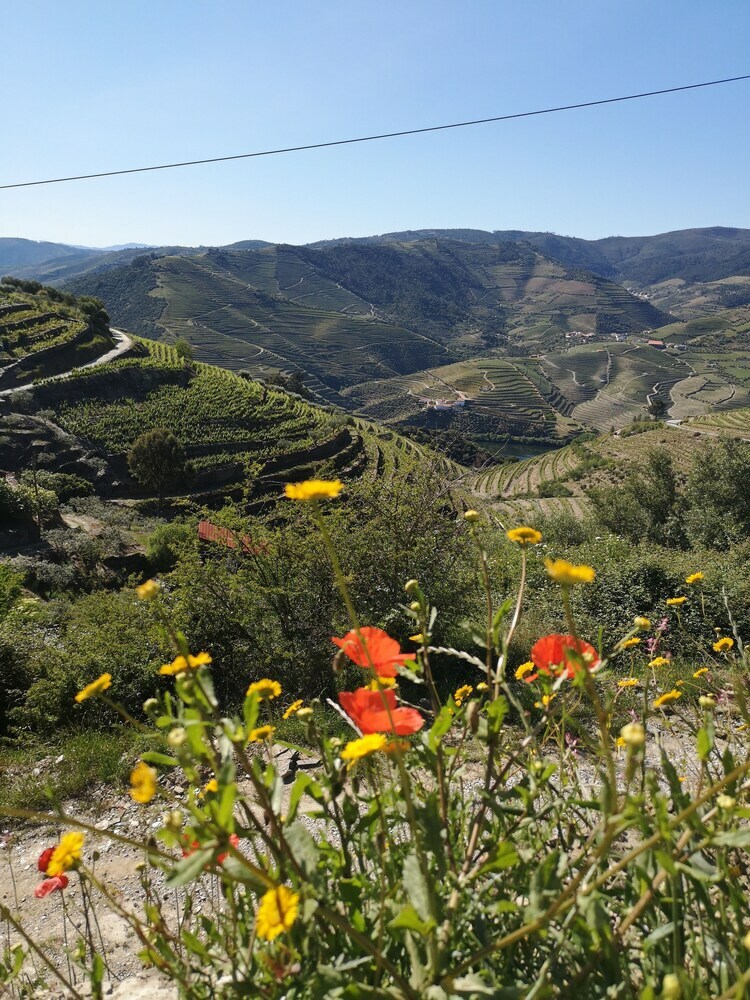 Quinta Das Fontainhas - Douro Valley
