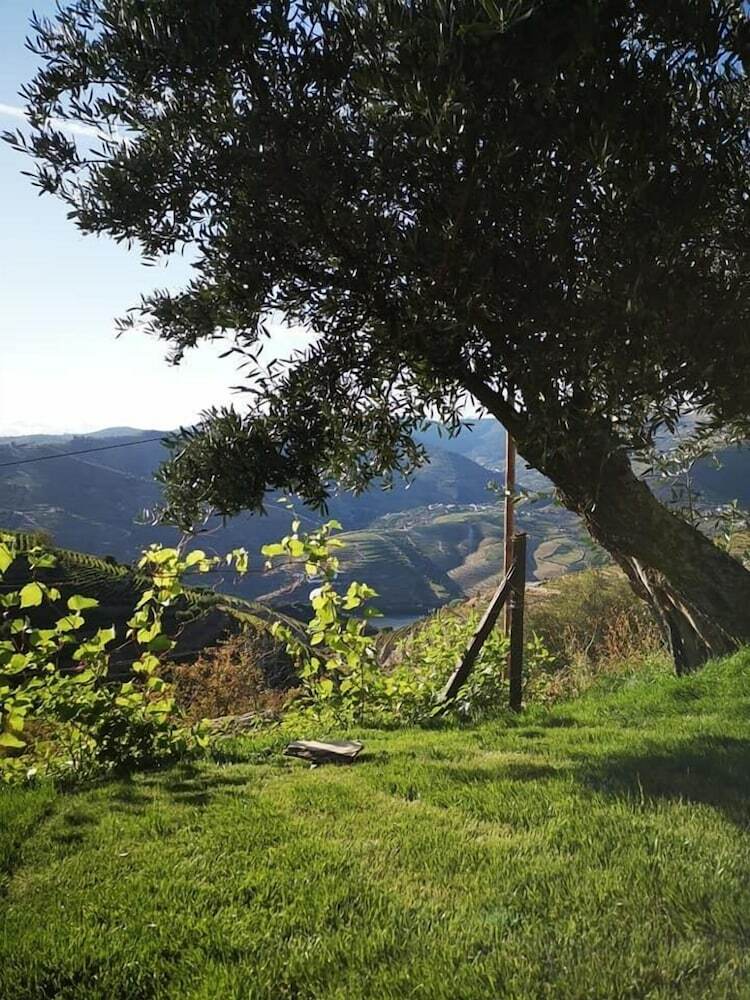 Quinta Das Fontainhas - Douro Valley