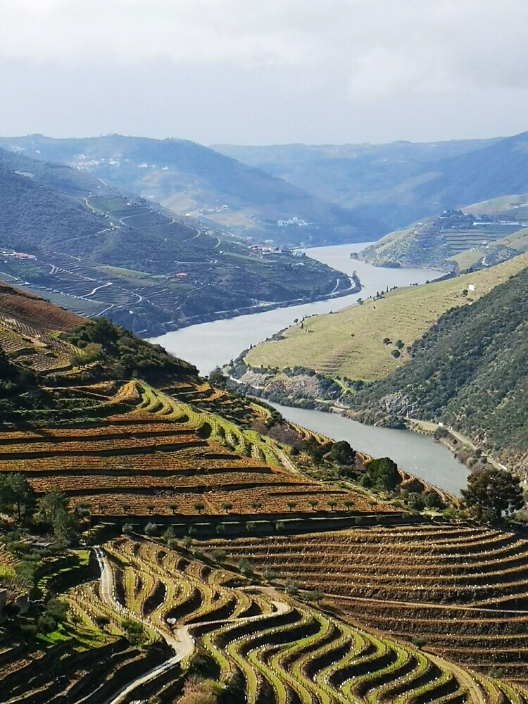 Quinta Das Fontainhas - Douro Valley
