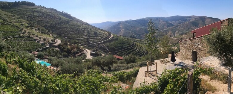Quinta Das Fontainhas - Douro Valley