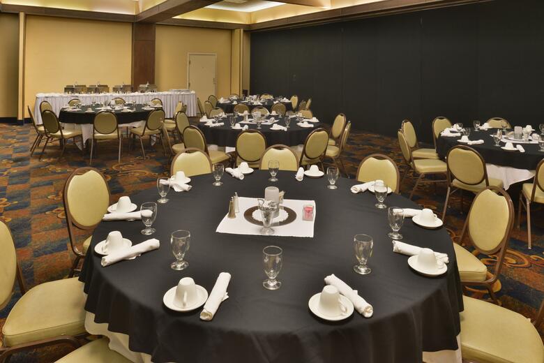 Hotel Holiday Inn Great Falls