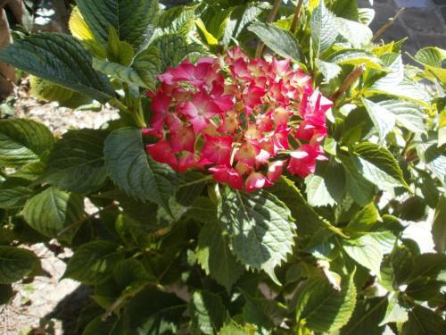 Bed & Breakfast La Maison D'adam