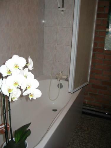 Bed & Breakfast La Maison D'adam