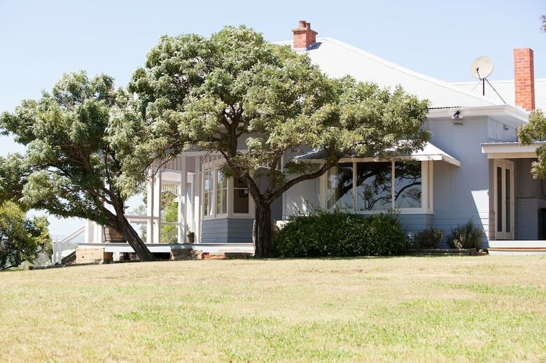 Audrey Wilkinson Vineyard