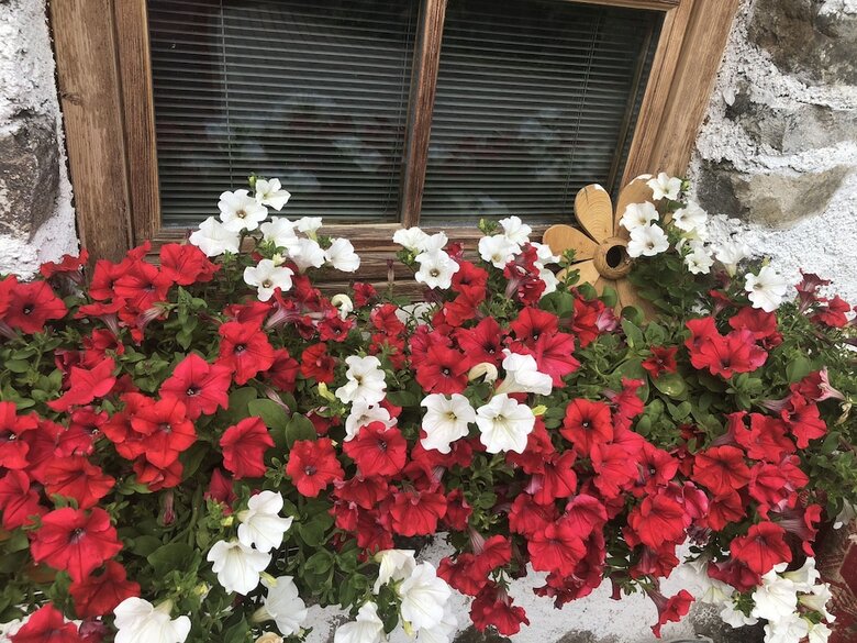 Apartamento Cesa Mia