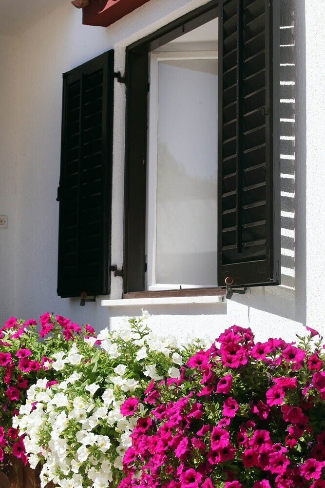 Apartments Antonieta