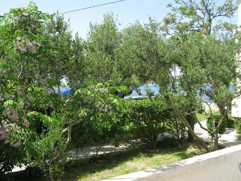 Apartamentos Darko