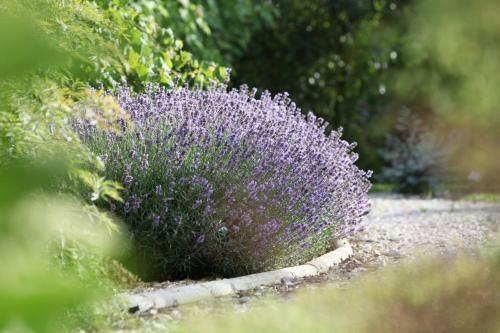 Bed & Breakfast La Maison Du Passage - Chambres Avec Restaurant & Spa -