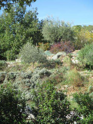 G�te Le Mas De Molines
