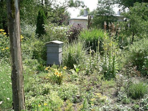 Bed & Breakfast Chambres D'h�tes Du Jardin Francais