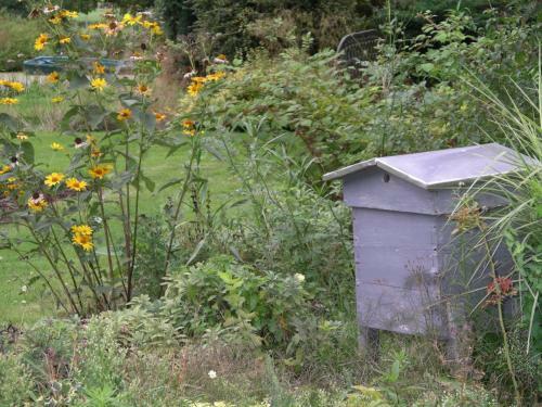 Bed & Breakfast Chambres D'h�tes Du Jardin Francais
