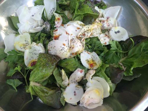 Bed & Breakfast Chambres D'h�tes Du Jardin Francais