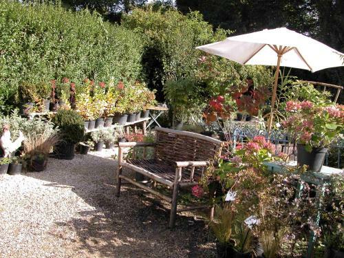 Bed & Breakfast Chambres D'h�tes Du Jardin Francais