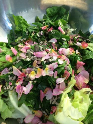 Bed & Breakfast Chambres D'h�tes Du Jardin Francais