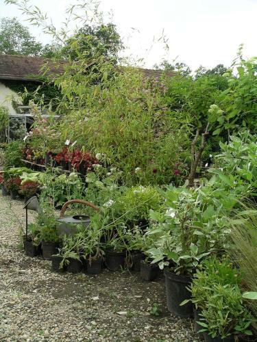Bed & Breakfast Chambres D'h�tes Du Jardin Francais