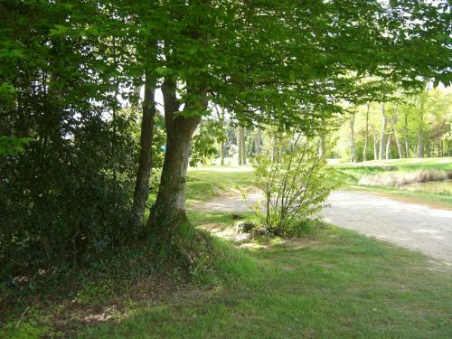 Bed & Breakfast L'oisette