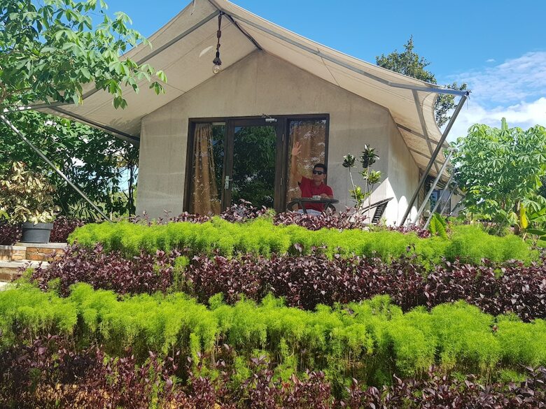 Hotel D'bamboo Kamp